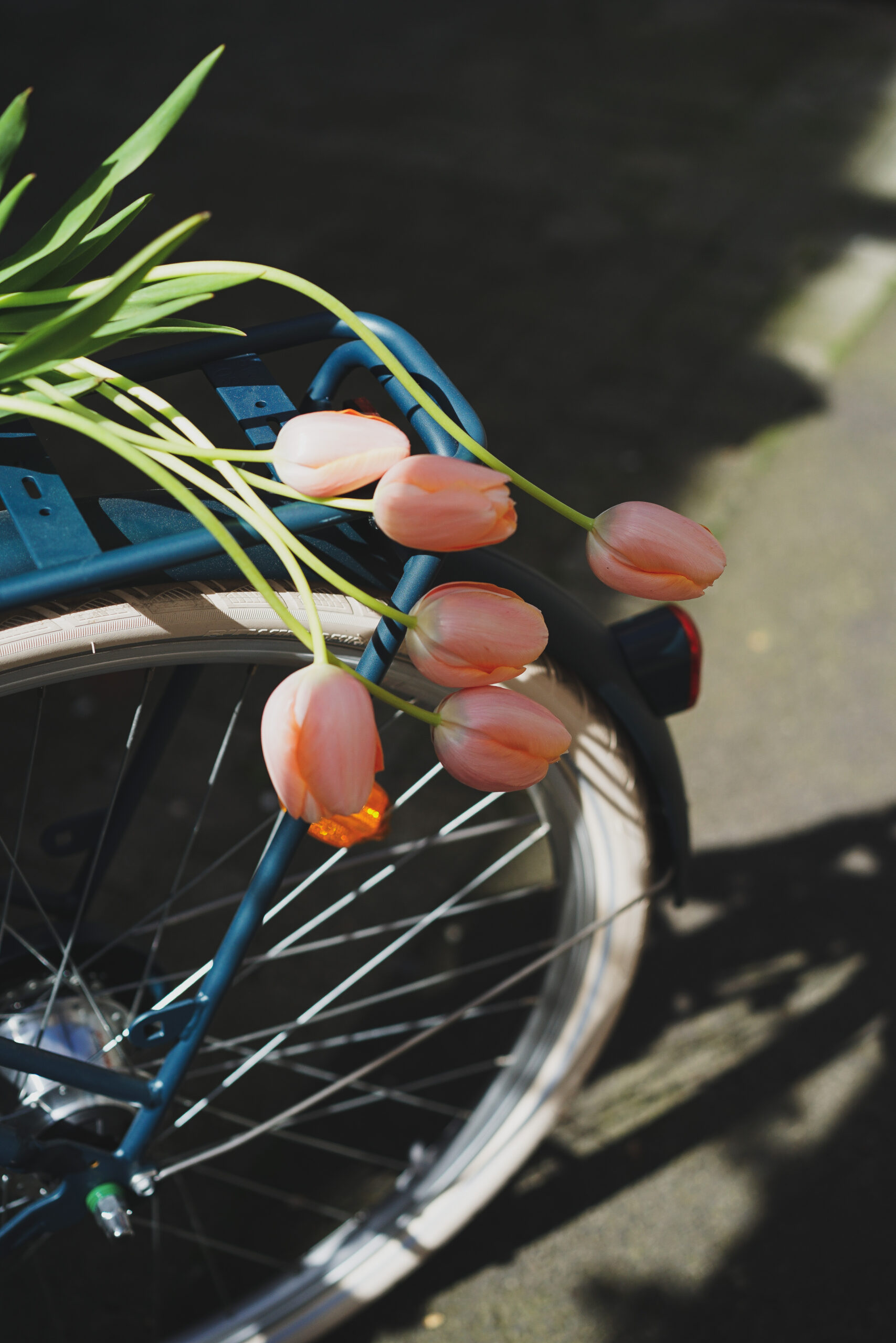 Livraisons bouquets plantes